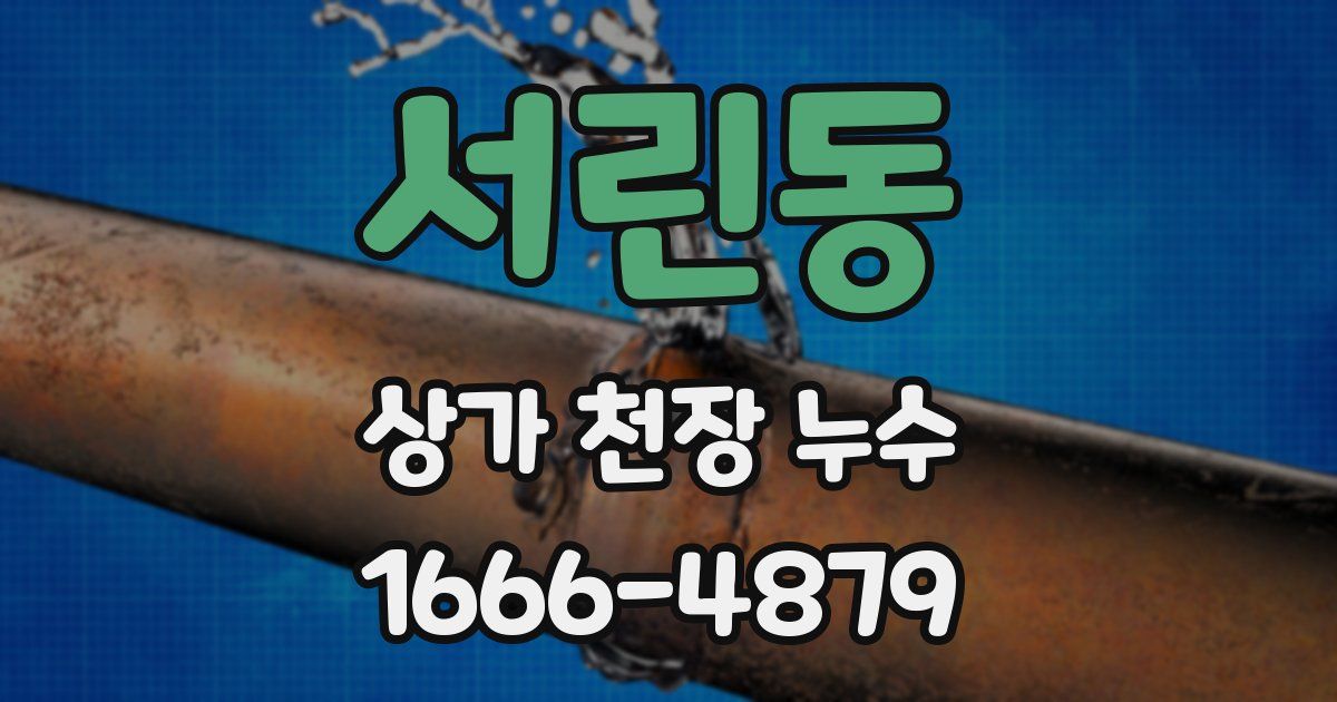 서린동 상가 천장 누수