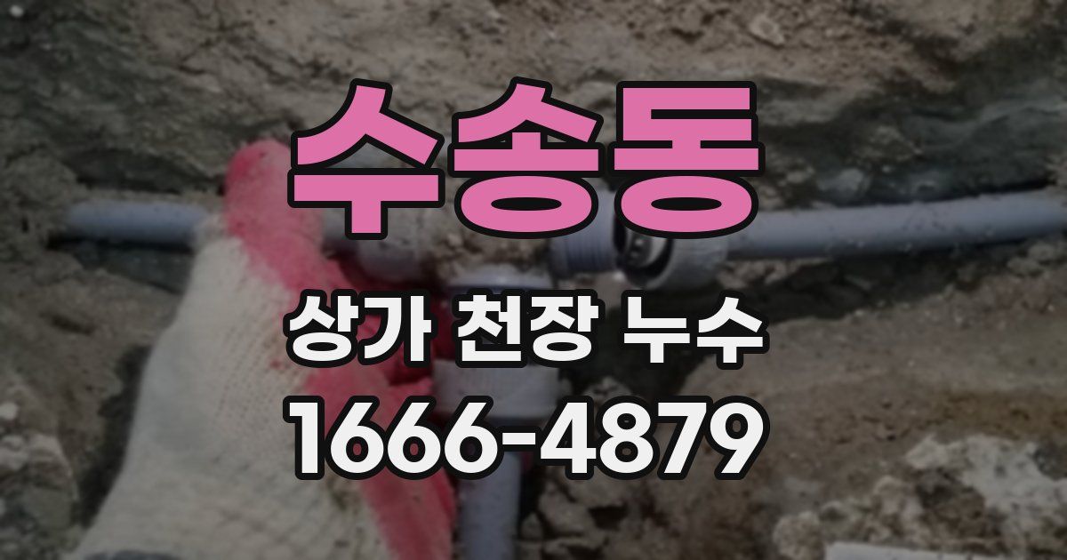수송동 상가 천장 누수