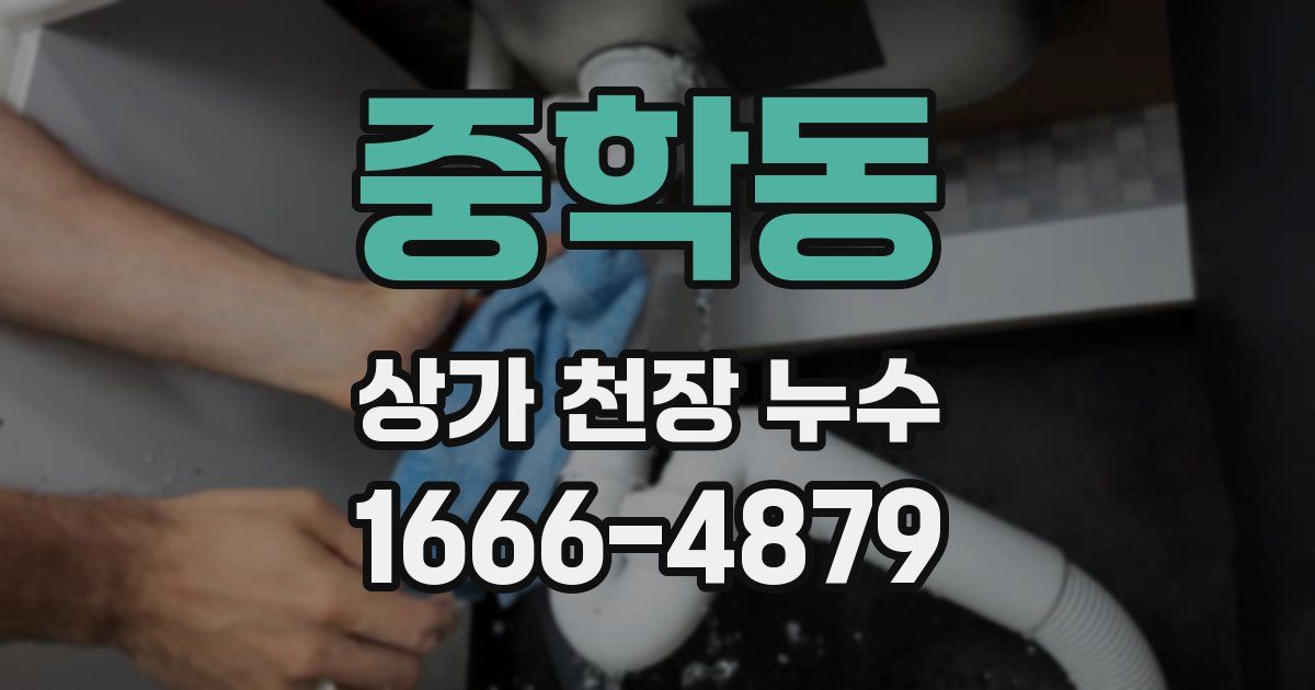 중학동 상가 천장 누수