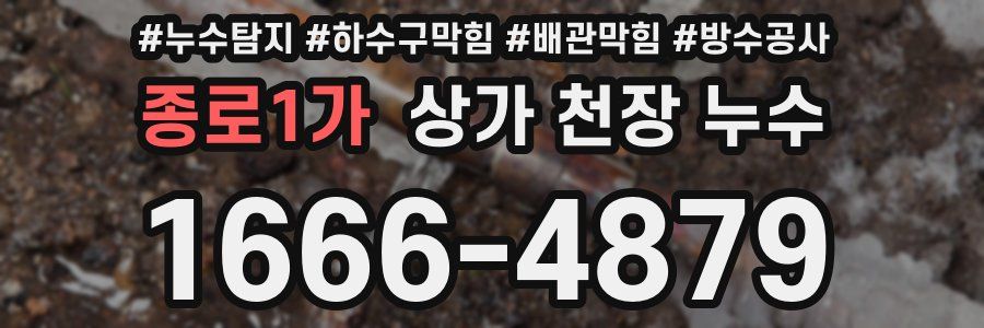종로1가 상가 천장 누수