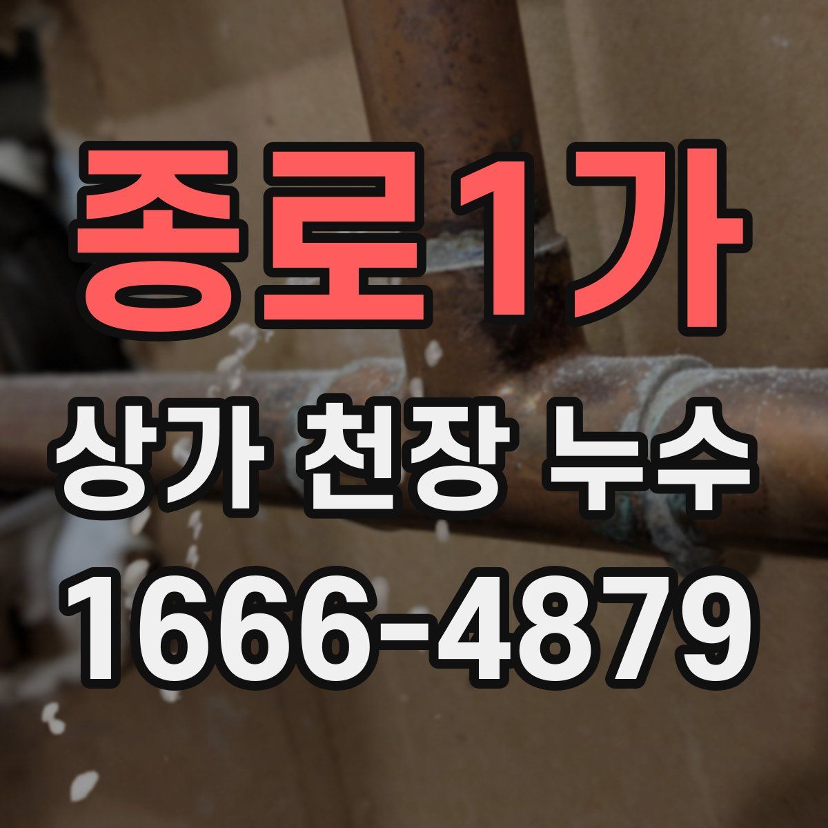 종로1가 상가 천장 누수