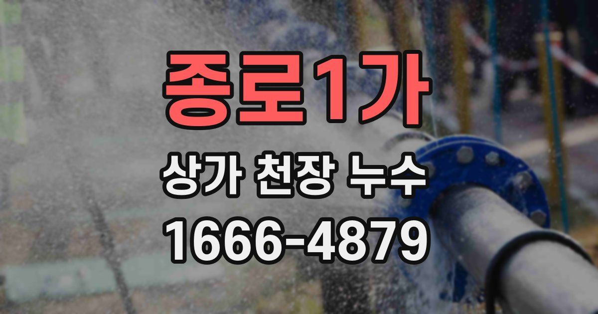 종로1가 상가 천장 누수