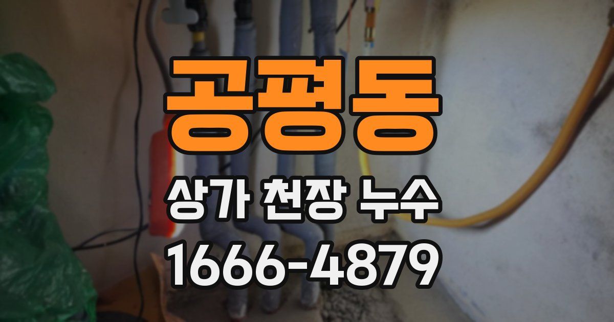 공평동 상가 천장 누수