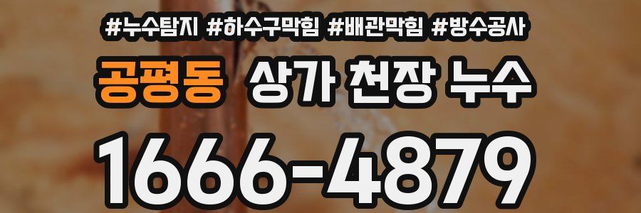 공평동 상가 천장 누수