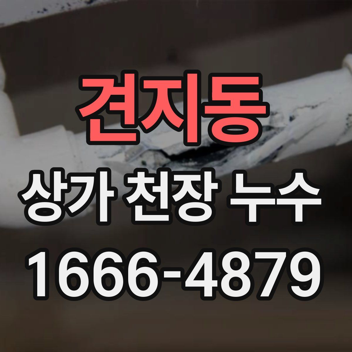 견지동 상가 천장 누수