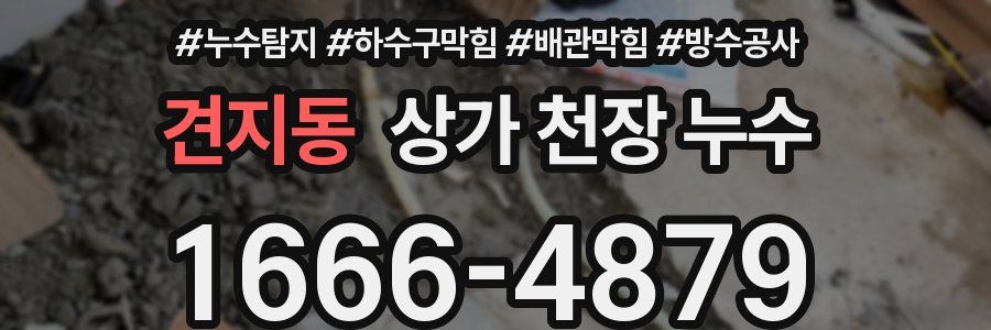 견지동 상가 천장 누수