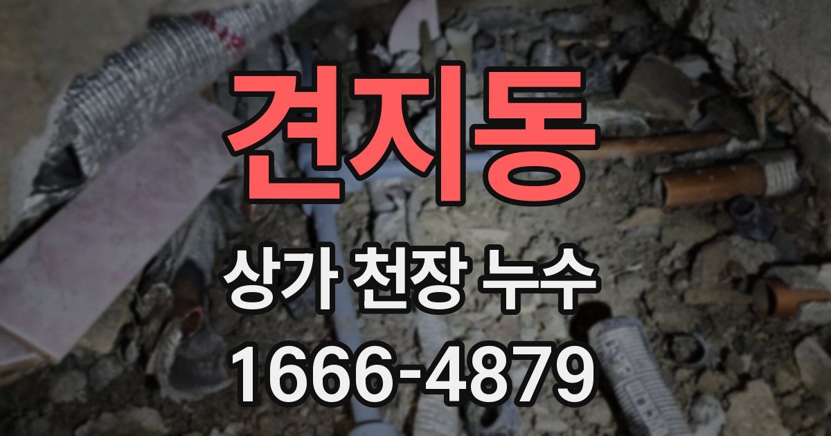 견지동 상가 천장 누수