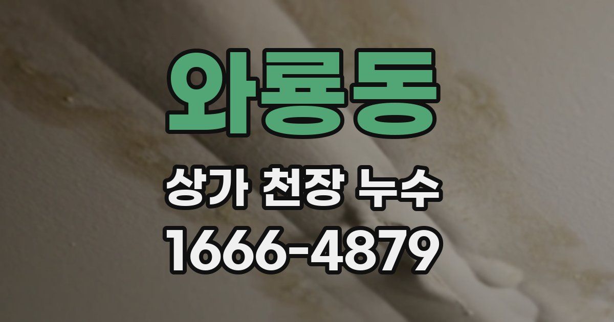 와룡동 상가 천장 누수