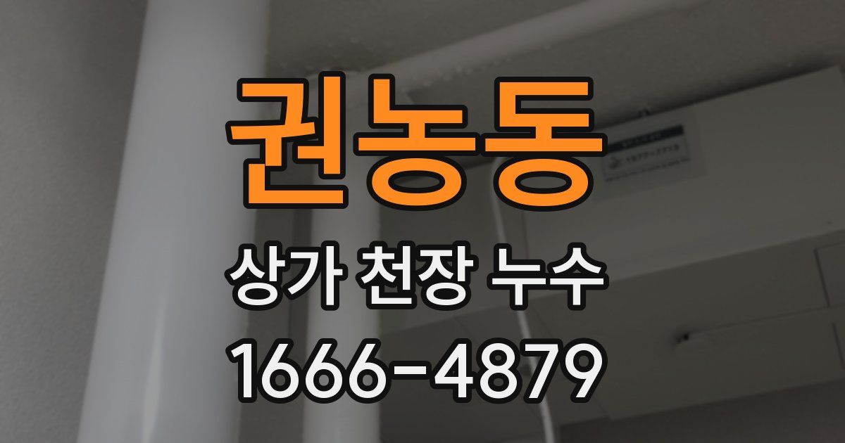 권농동 상가 천장 누수