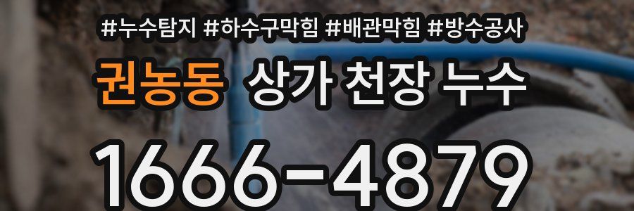 권농동 상가 천장 누수