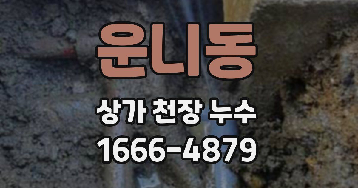 운니동 상가 천장 누수