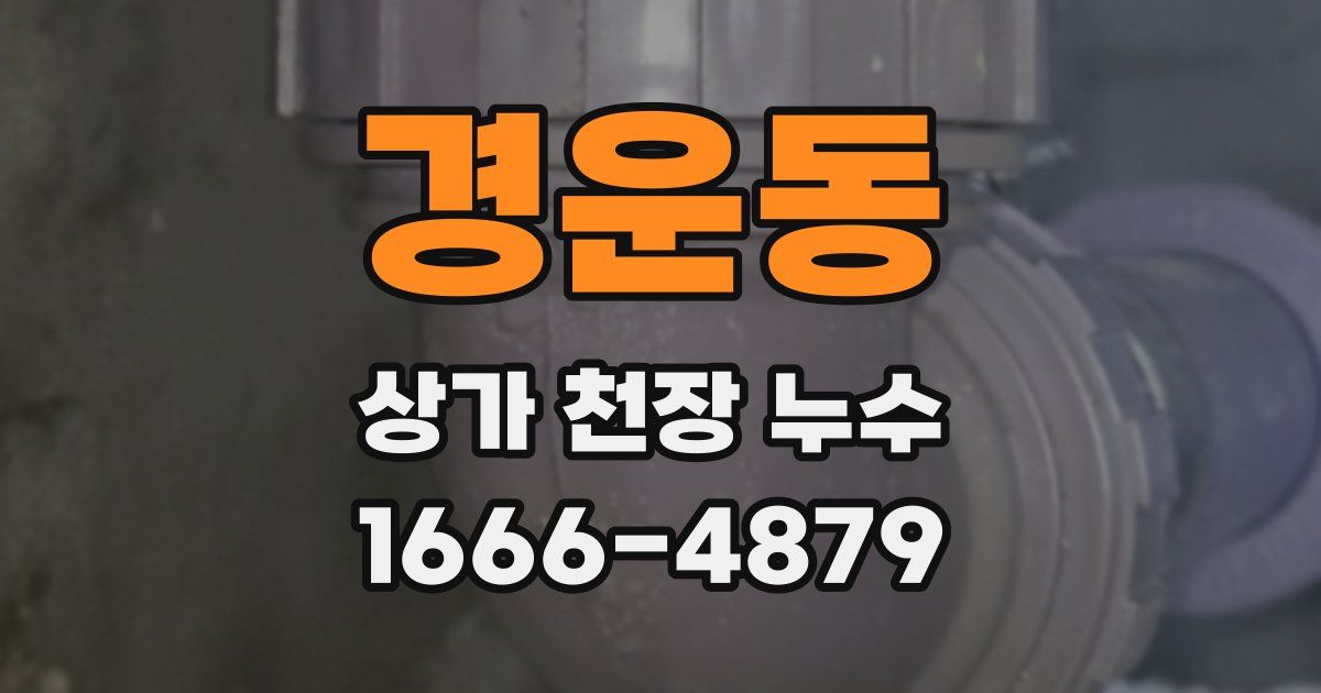 경운동 상가 천장 누수