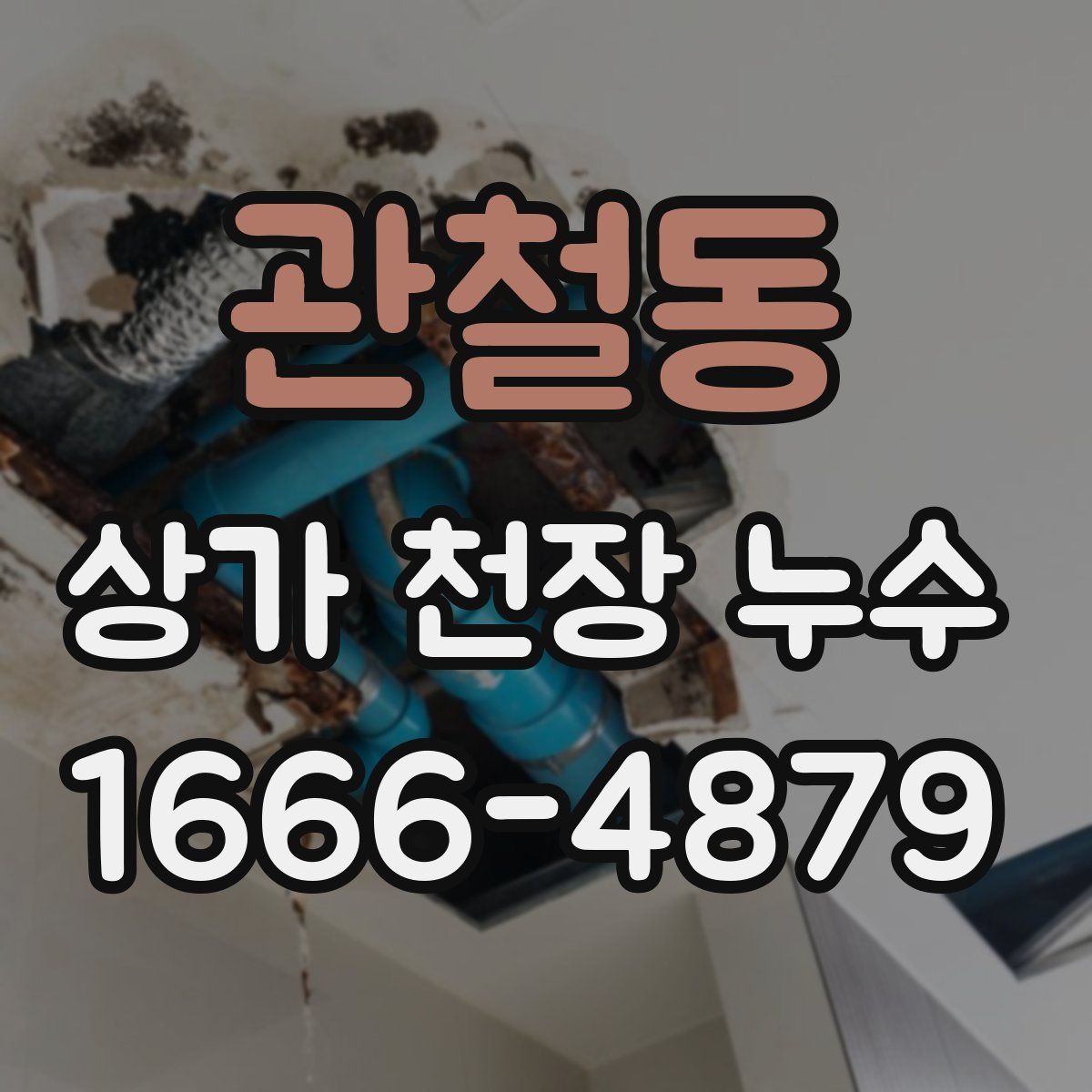 관철동 상가 천장 누수