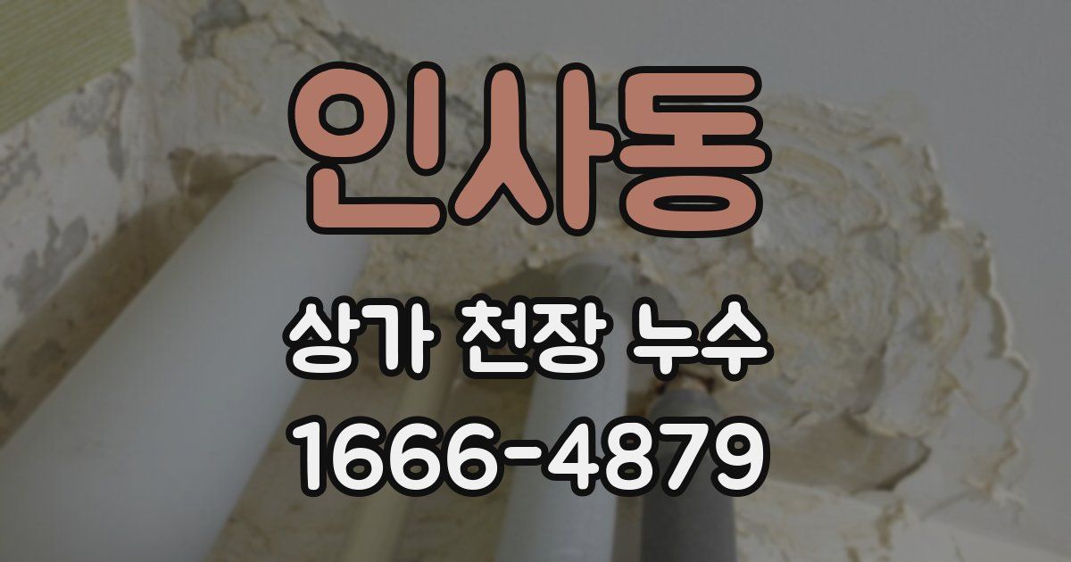 인사동 상가 천장 누수