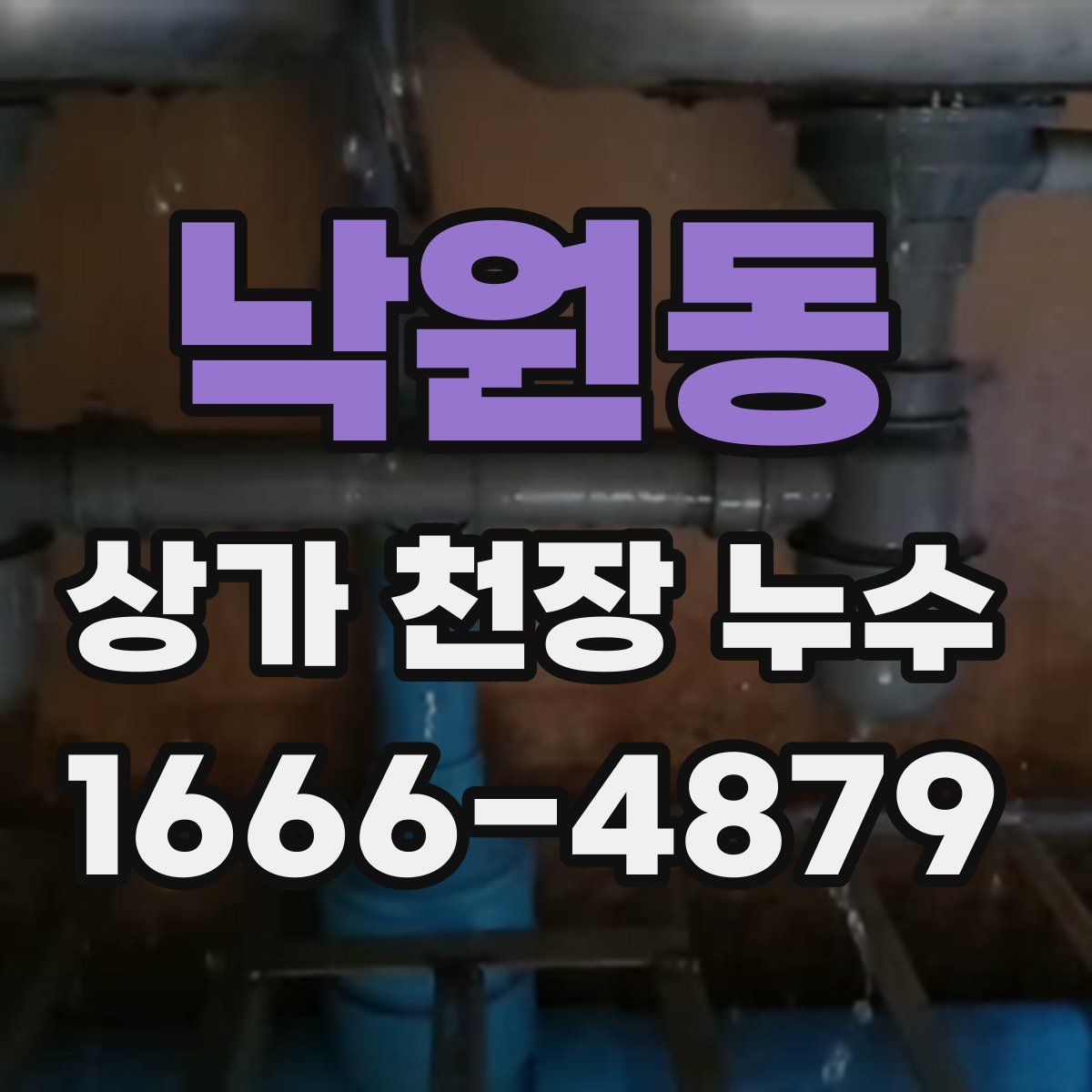 낙원동 상가 천장 누수