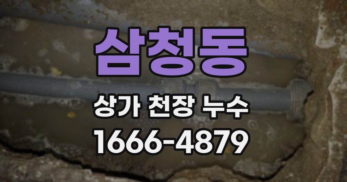 삼청동 상가 천장 누수