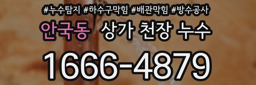 안국동 상가 천장 누수