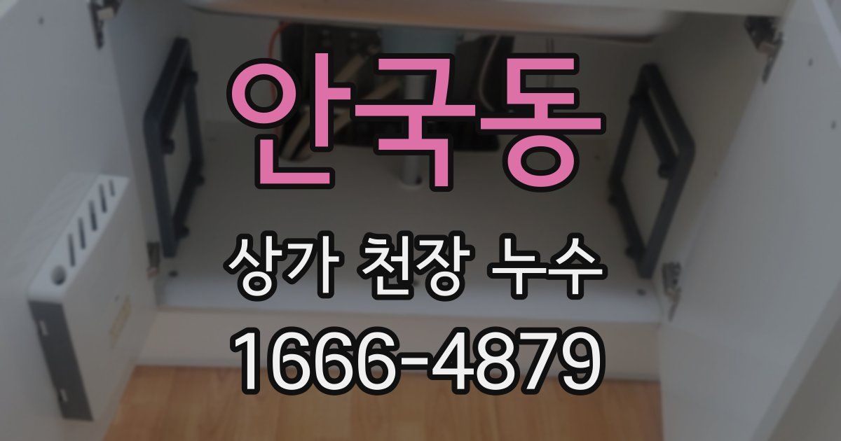 안국동 상가 천장 누수