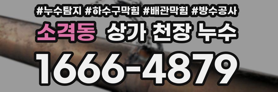 소격동 상가 천장 누수