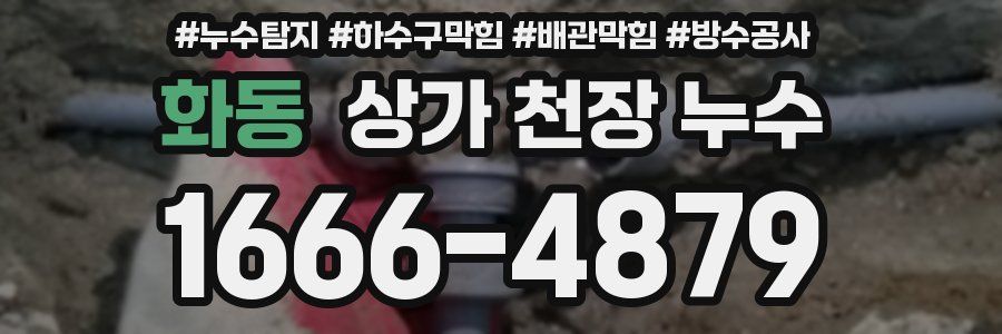 화동 상가 천장 누수