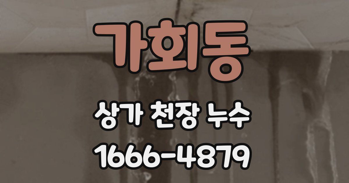 가회동 상가 천장 누수