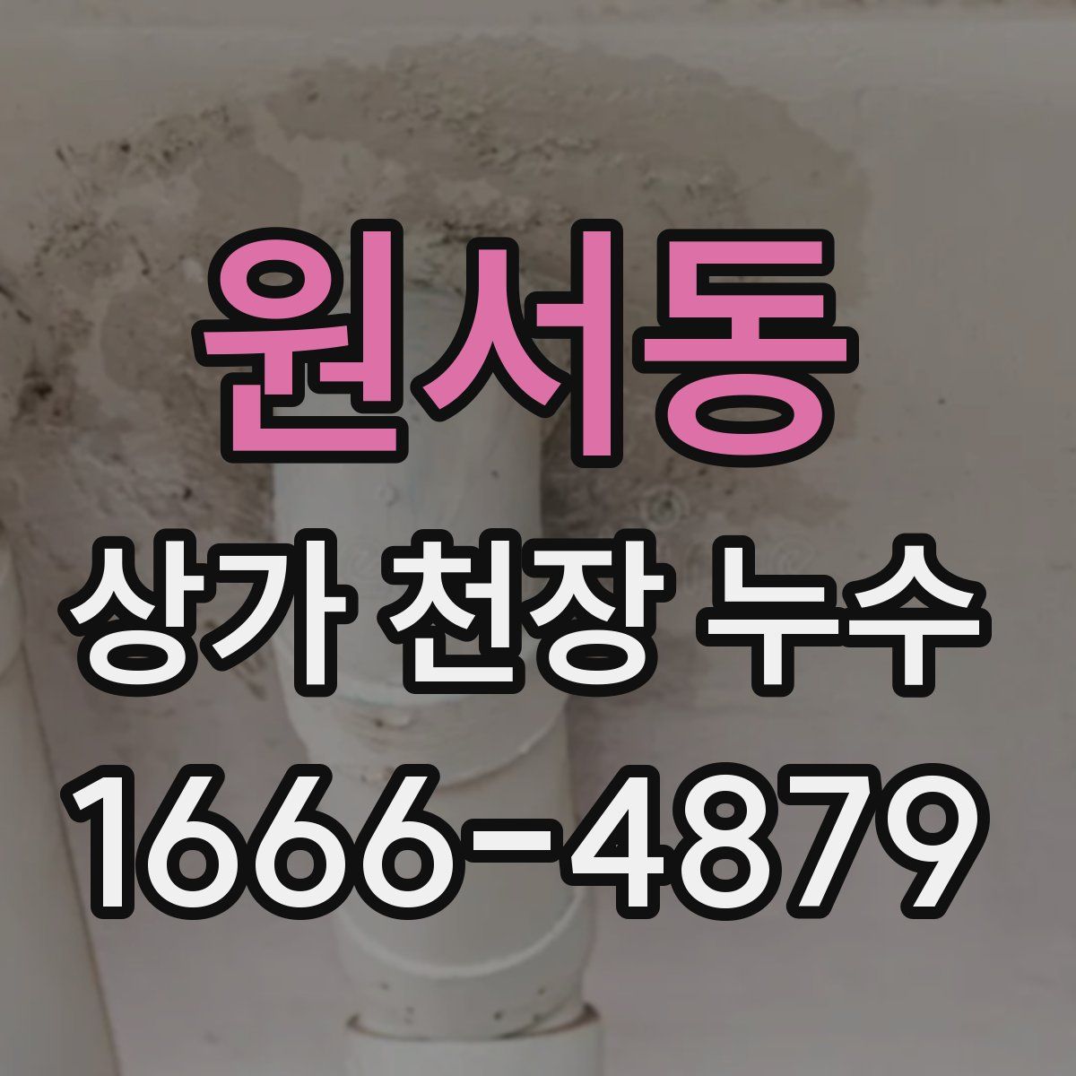 원서동 상가 천장 누수