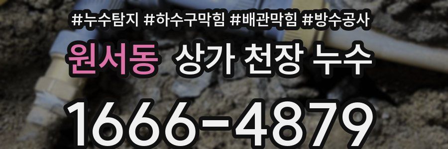 원서동 상가 천장 누수