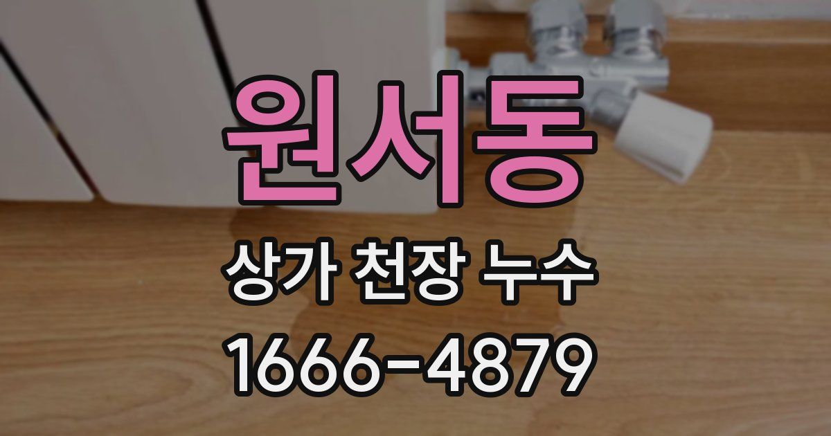 원서동 상가 천장 누수