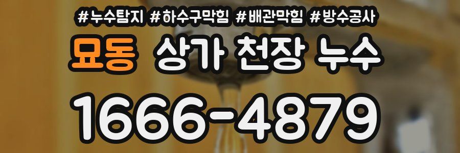 묘동 상가 천장 누수