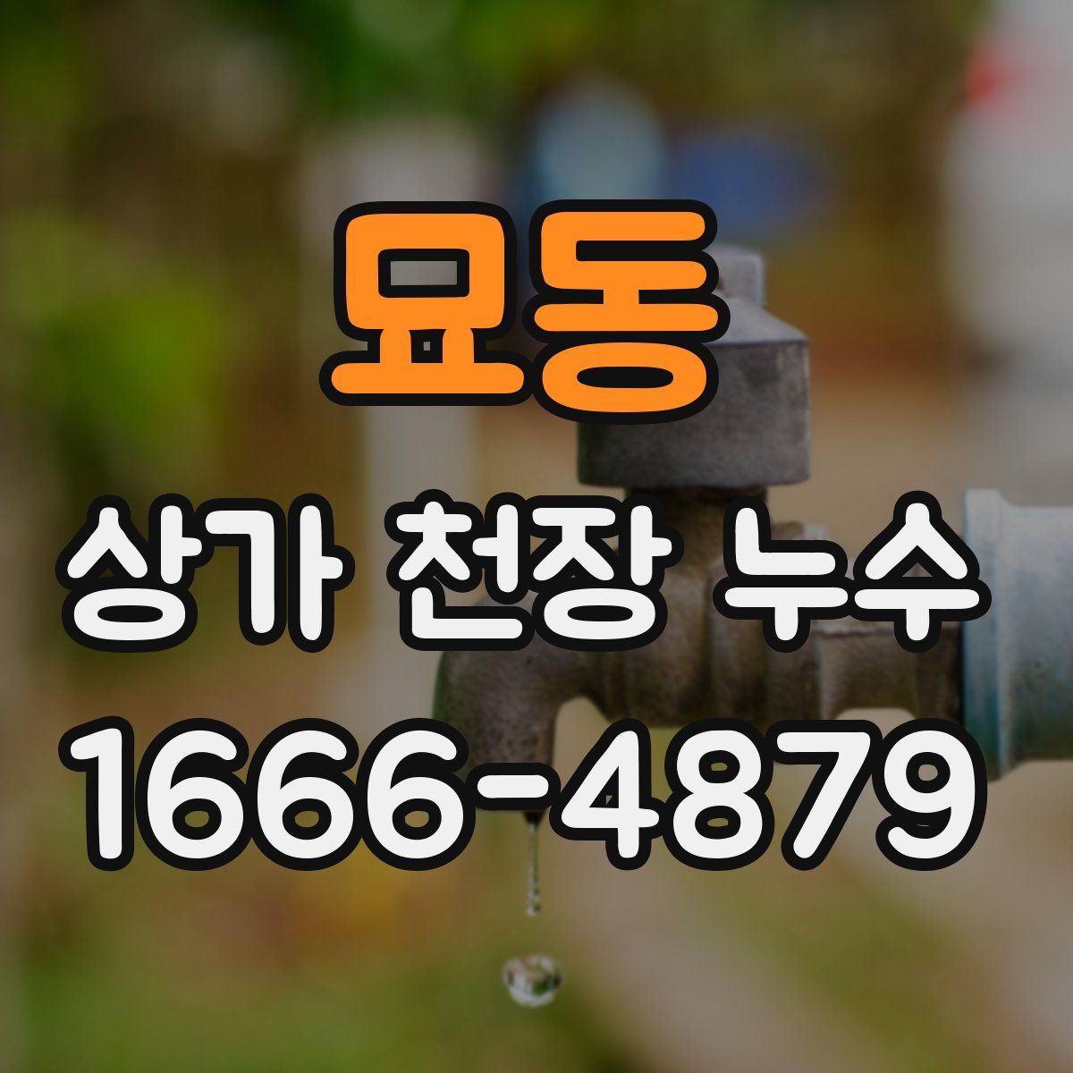 묘동 상가 천장 누수