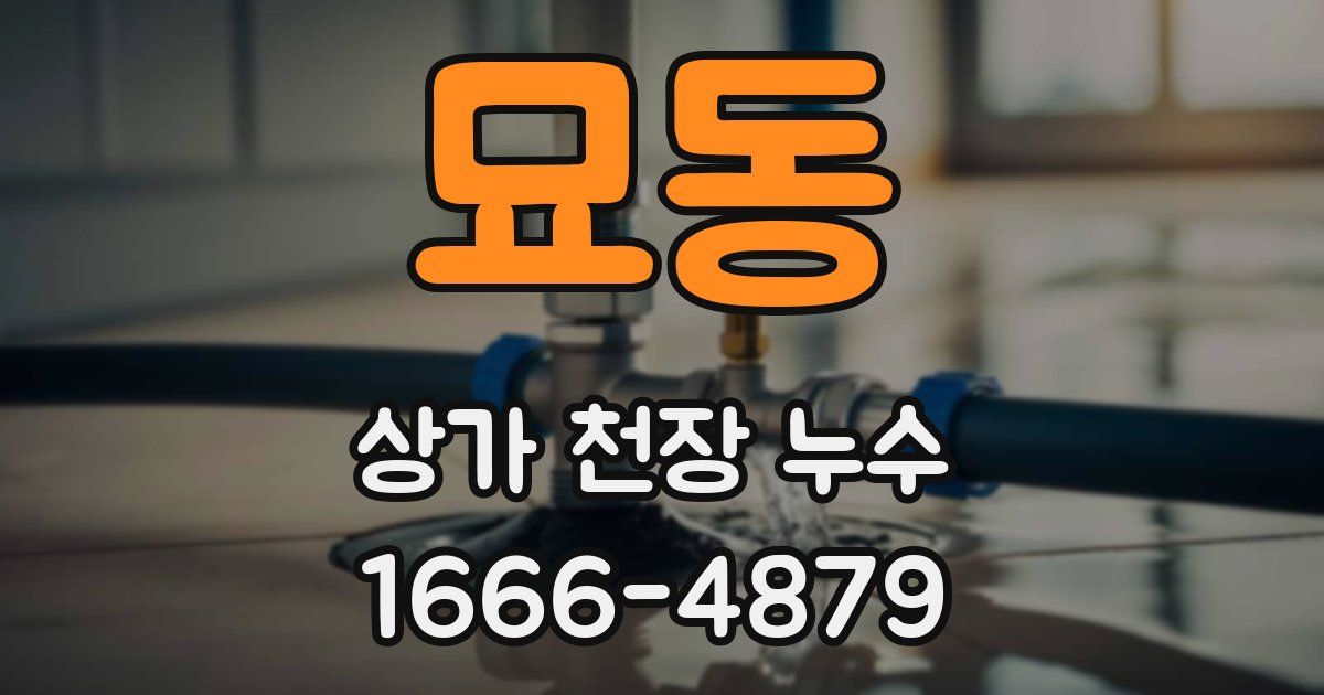 묘동 상가 천장 누수
