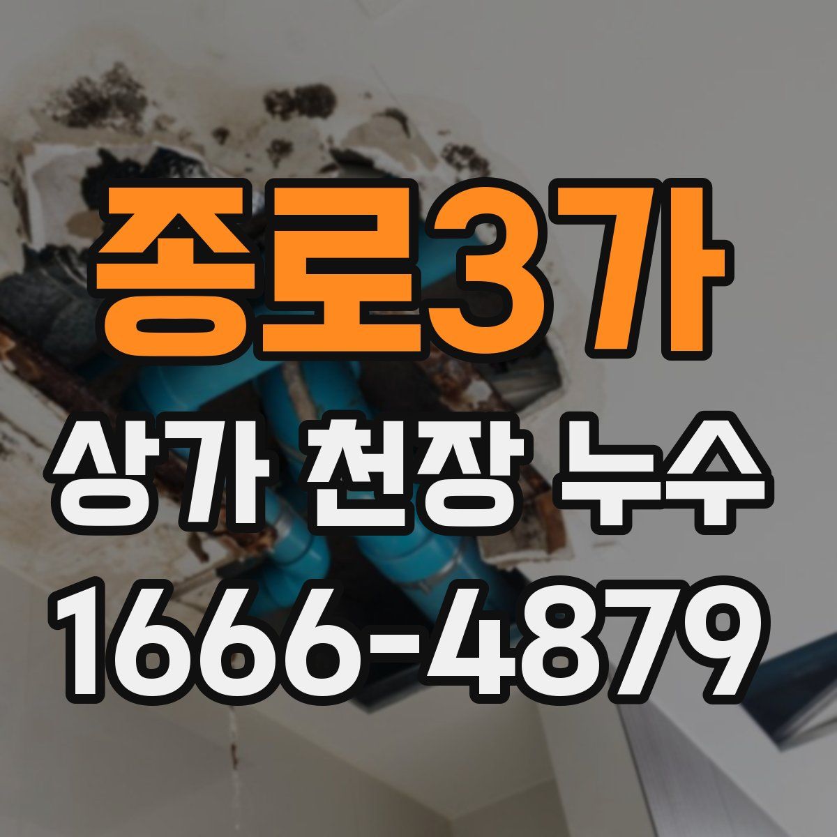 종로3가 상가 천장 누수