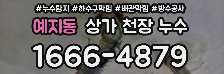 예지동 상가 천장 누수