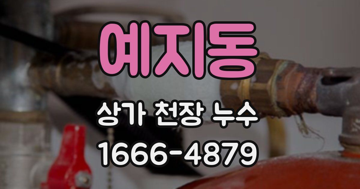예지동 상가 천장 누수