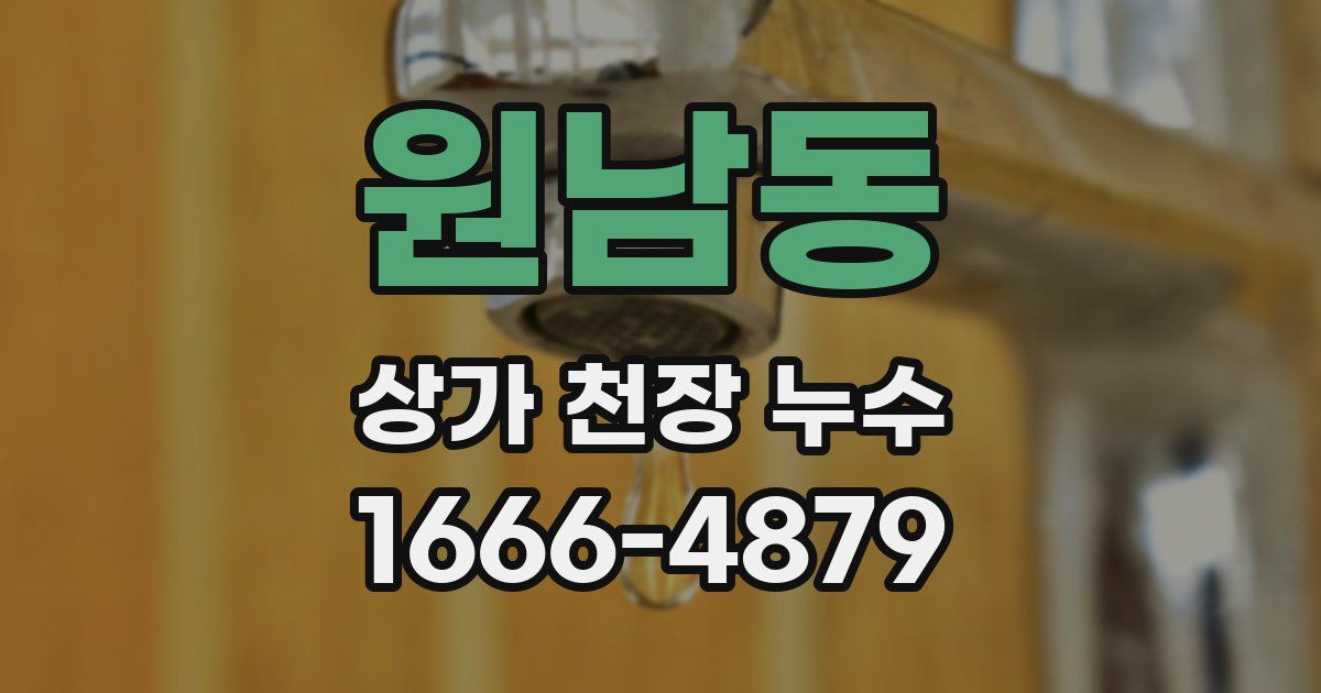 원남동 상가 천장 누수