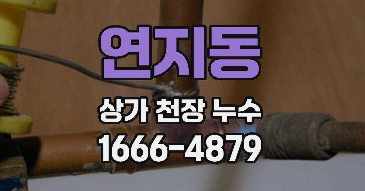 연지동 상가 천장 누수