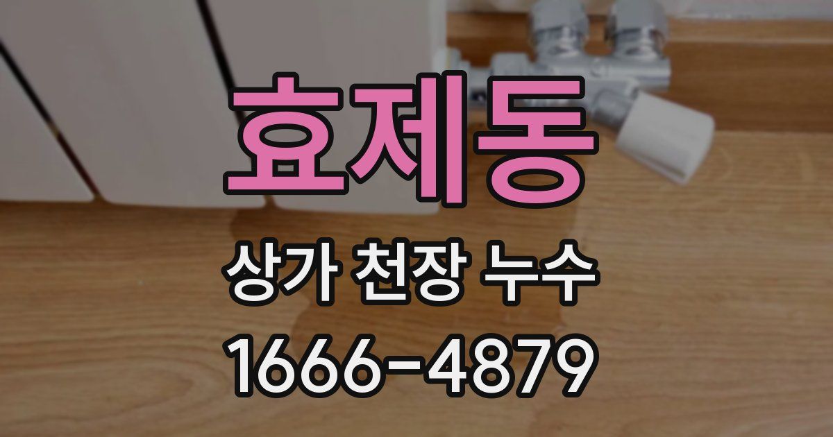 효제동 상가 천장 누수