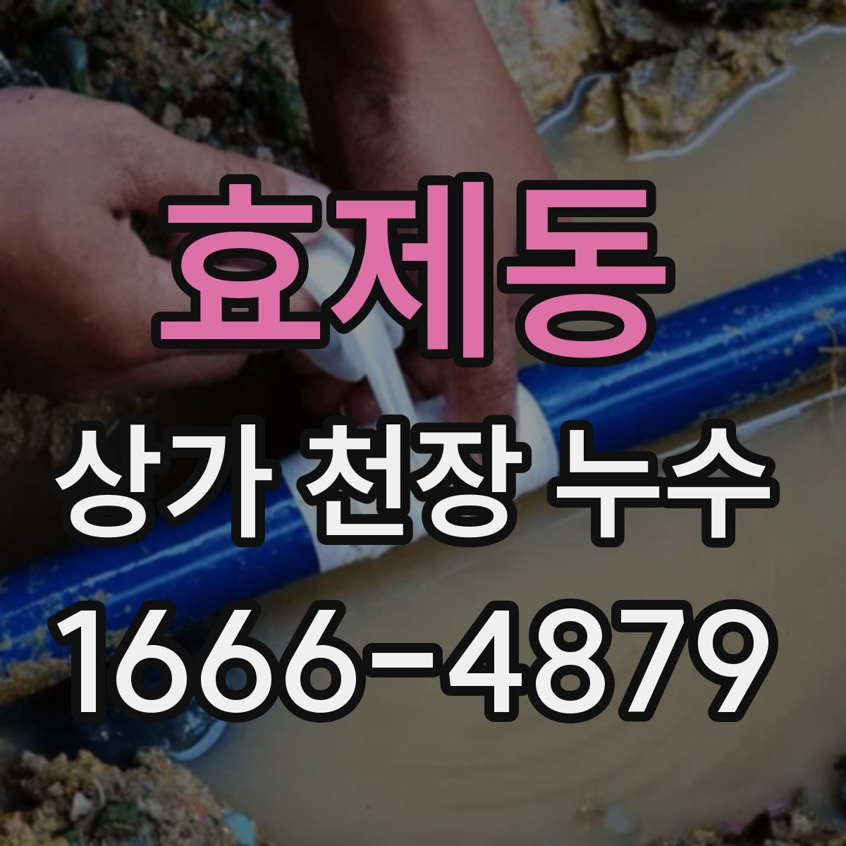 효제동 상가 천장 누수