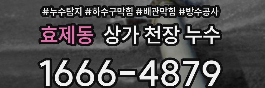 효제동 상가 천장 누수