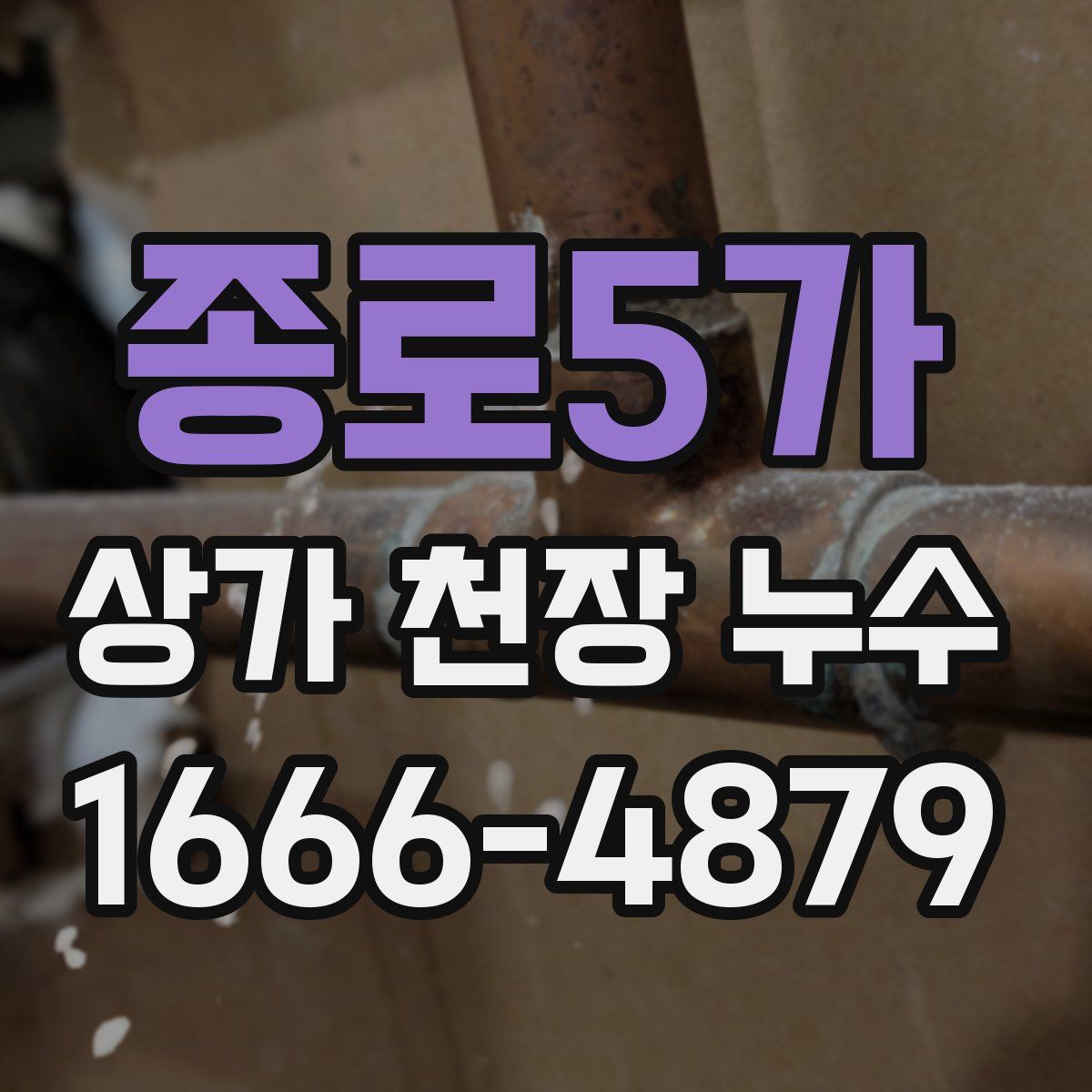 종로5가 상가 천장 누수