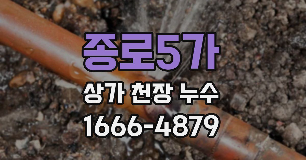 종로5가 상가 천장 누수