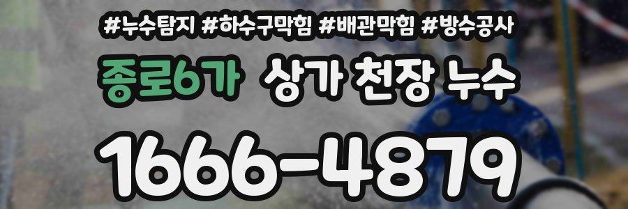 종로6가 상가 천장 누수