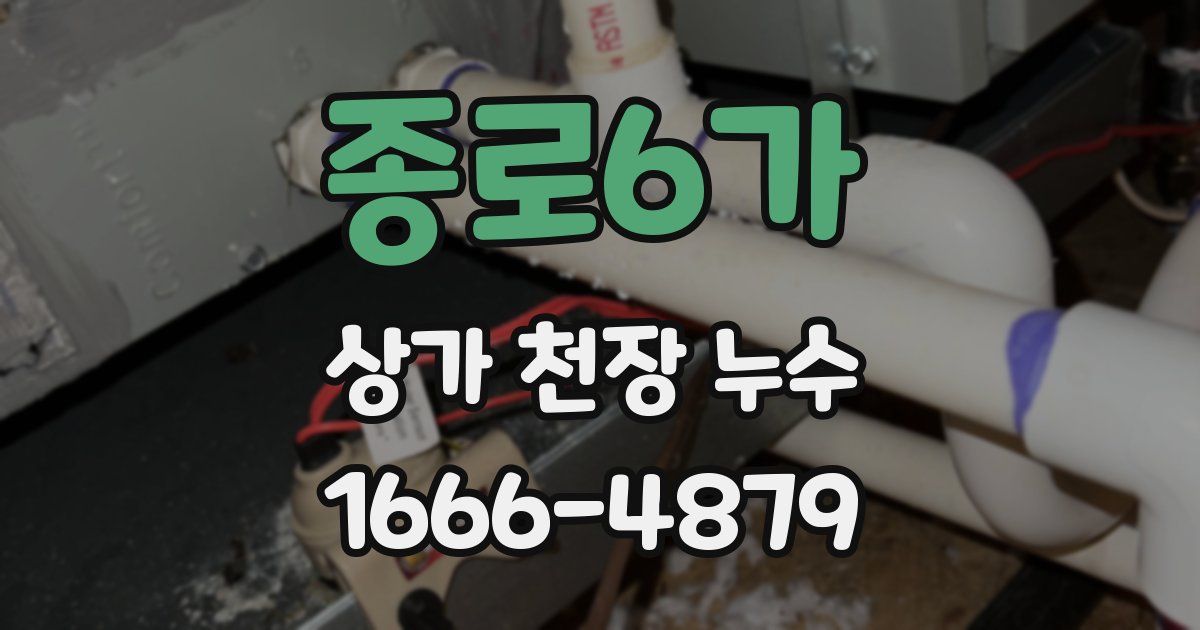 종로6가 상가 천장 누수