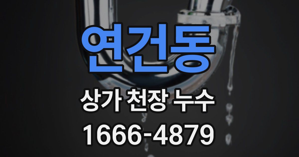 연건동 상가 천장 누수