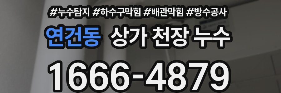 연건동 상가 천장 누수