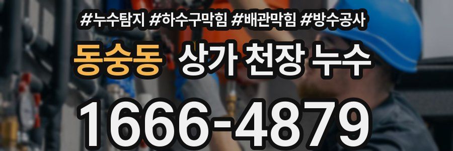 동숭동 상가 천장 누수