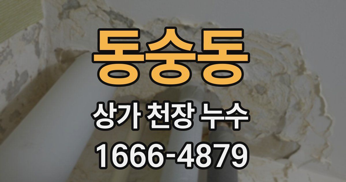 동숭동 상가 천장 누수