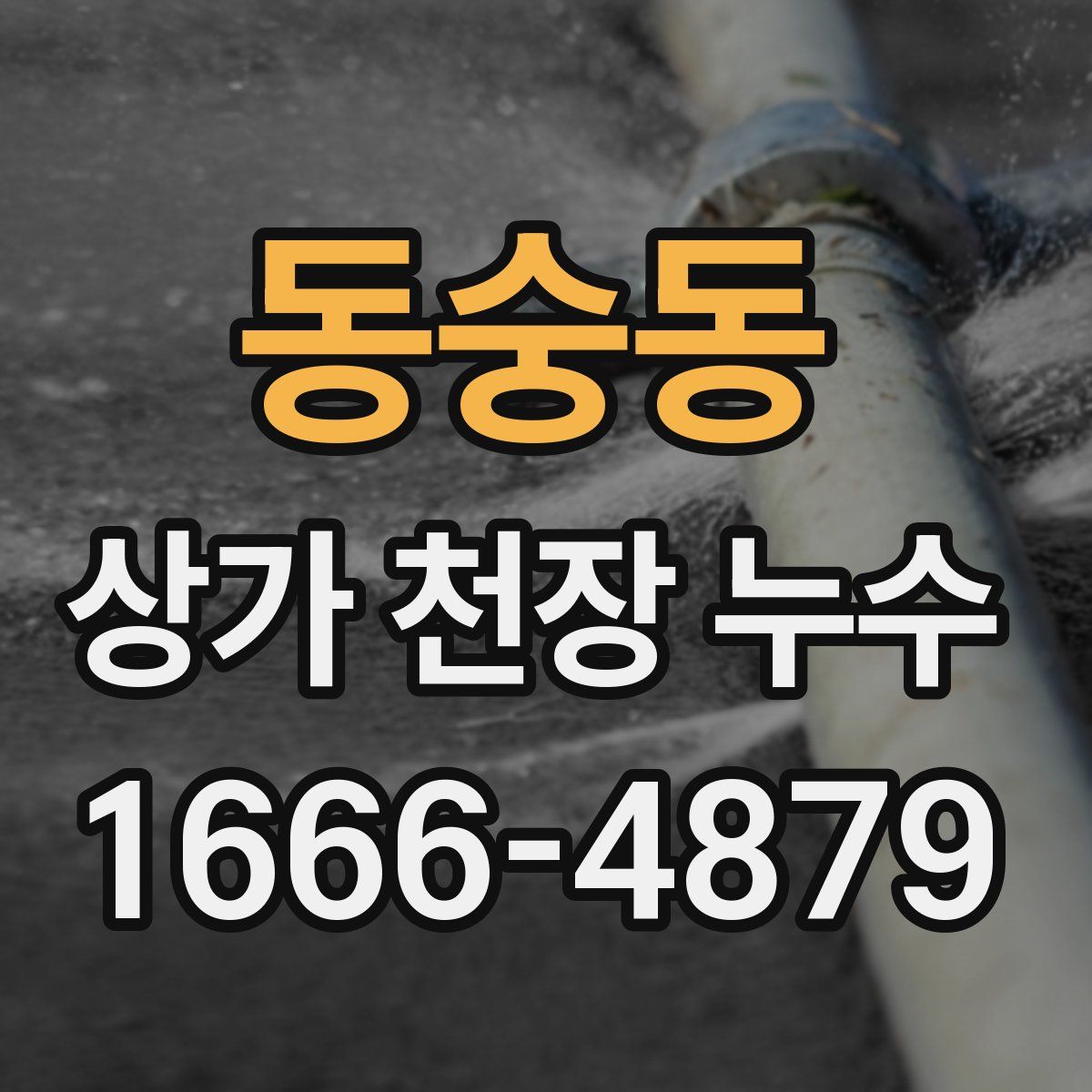 동숭동 상가 천장 누수