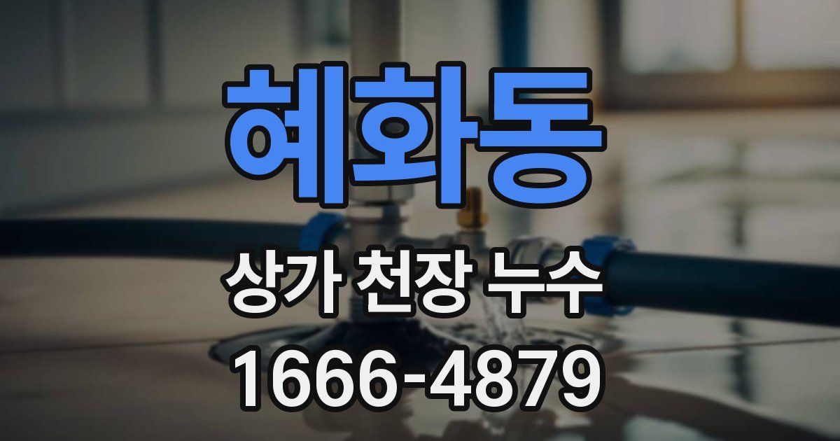 혜화동 상가 천장 누수