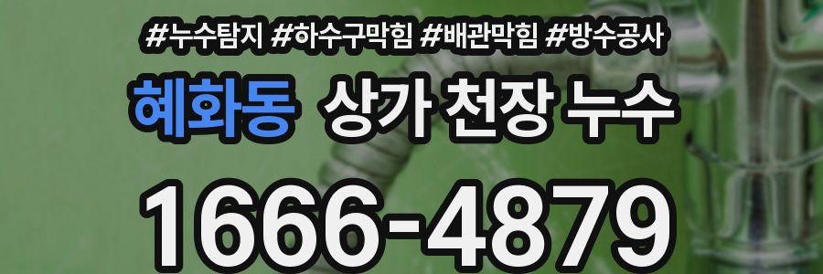 혜화동 상가 천장 누수